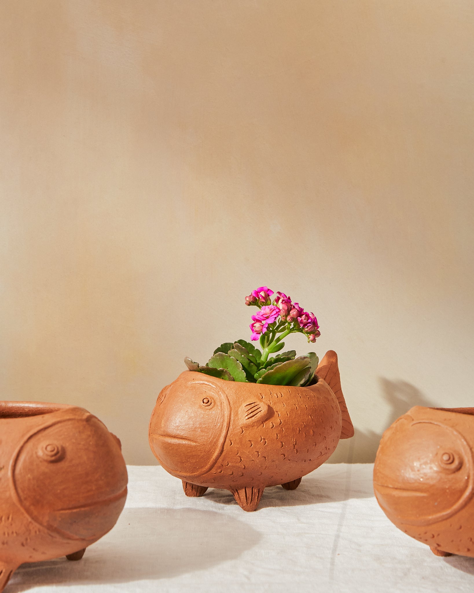 jaipur ceramic pot planter Pez Planter