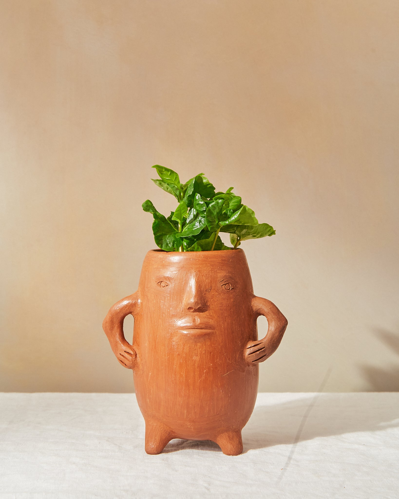 handmade clay plant pots Petra Artisanal Face Planter | Handcrafted Oaxacan Clay